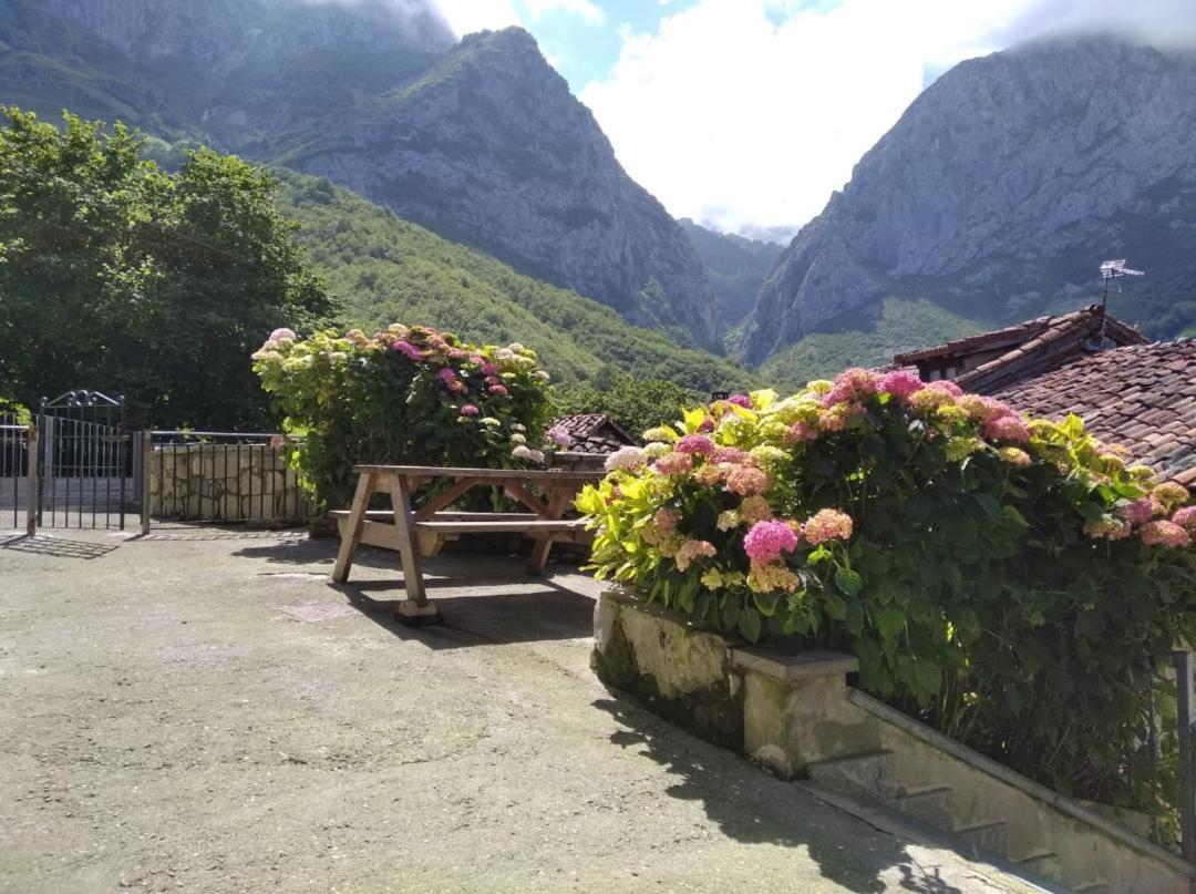 La Xiana Guest House Taranes Bagian luar foto